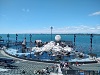 bregenz t